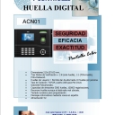 ACN01